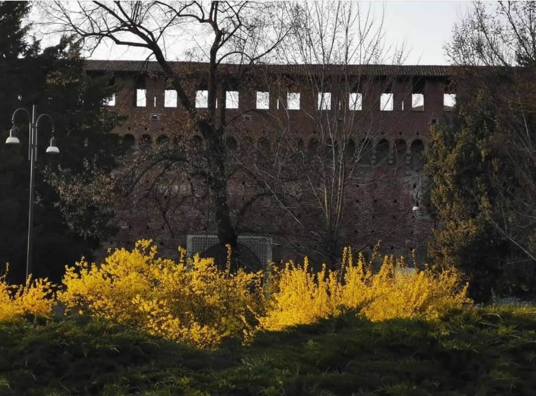 Il Bergamino di Giorgio Cesati Cassin - capitolo II